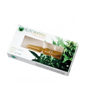 CRITICAL CHIVA (5) 100% AUTOMARIS