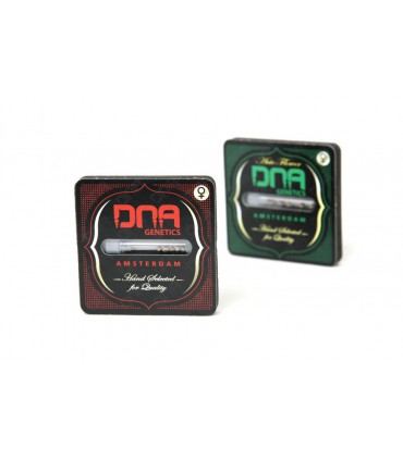 60 DAY LEMON AUTO (6) 100% DNA