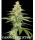 CANNALOPE KUSH (6) 100% DNA