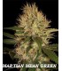 MARTIAN MEAN GREEN (6) 100% DNA