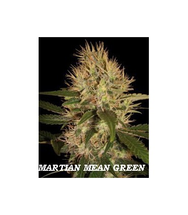MARTIAN MEAN GREEN (6) 100% DNA