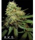 banco de semillas DNA GENETICS R.K.S (6) 100% DNA