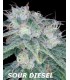 SOUR DIESEL (6) 100% DNA