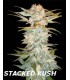 STACKED KUSH (6) 100% DNA