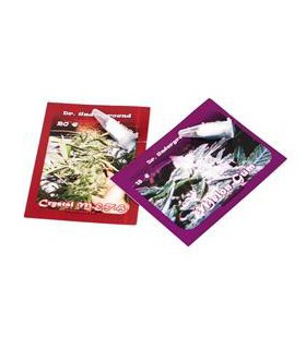 banco de semillas DR. UNDERGROUND AUTO MELON GUM