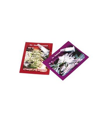 banco de semillas DR. UNDERGROUND AUTO MELON GUM