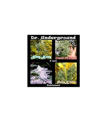 banco de semillas DR. UNDERGROUND KILLER MIX