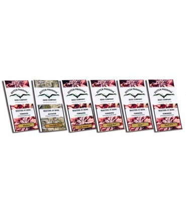 banco de semillas DUTCH PASSION MIX 5 JD/EU/BR (6) 100% DUTCH PASSION