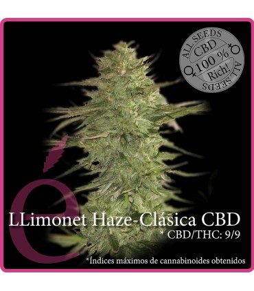 banco de semillas ELITE SEEDS LA RICA CBD 100% CLASICA CBD ELITE SEEDS