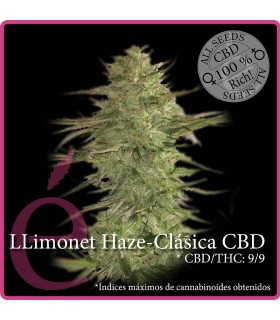 LLIMONET HAZE CBD 100% CLASICA CBD ELITE SEEDS