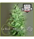 LA RICA-AUTO.CBD 100% AUTO CBD ELITE SEEDS