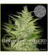 banco de semillas ELITE SEEDS LLIMONET HAZE-AUTO.CBD