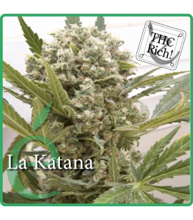 banco de semillas ELITE SEEDS LA KATANA