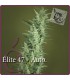 banco de semillas ELITE SEEDS ELITE 47 AUTO