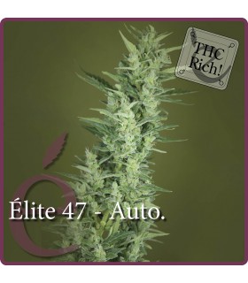 ELITE 47 AUTO