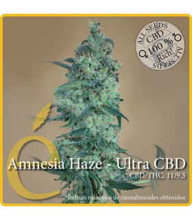AMNESIA HAZE-ULTRA CBD