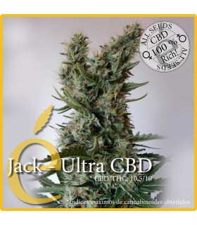 banco de semillas ELITE SEEDS JACK-ULTRA CBD 100% AUTO CBD ELITE SEEDS