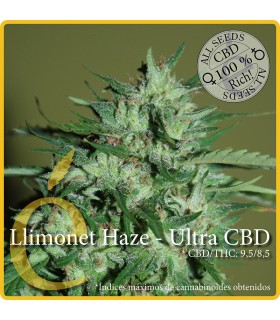 LLIMONET HAZE-ULTRA CBD