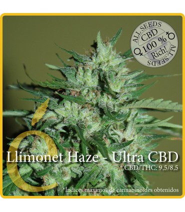 banco de semillas ELITE SEEDS LLIMONET HAZE-ULTRA CBD
