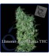 banco de semillas ELITE SEEDS LLIMONET HAZE