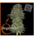 banco de semillas ELITE SEEDS MEGANUSKA X