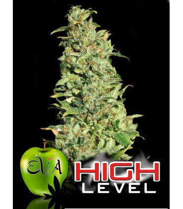 banco de semillas EVA SEEDS HIGH LEVEL 100%