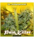 banco de semillas DR. UNDERGROUND PAINKILLER 100 %