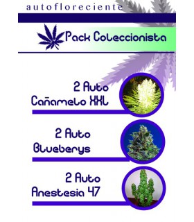 banco de semillas MOON GENETIC PACK COLECCION AUTO MOON GENETIC