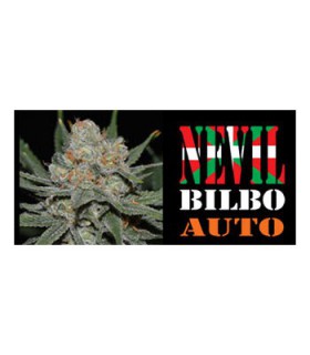 banco de semillas GENEHTIK SEEDS HAZIAK NEVIL BILBO AUTO