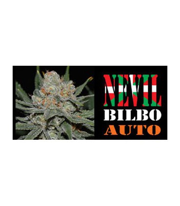 banco de semillas GENEHTIK SEEDS HAZIAK NEVIL BILBO AUTO
