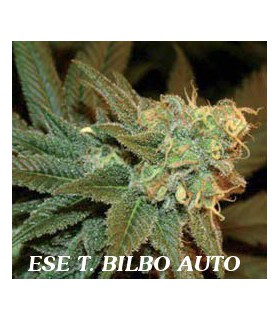 ESE T. BILBO AUTO