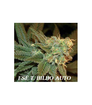 ESE T. BILBO AUTO