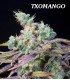 TXOMANGO