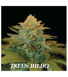 banco de semillas GENEHTIK SEEDS HAZIAK TXEES BILBO