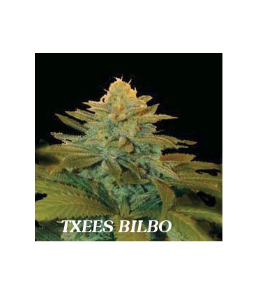 banco de semillas GENEHTIK SEEDS HAZIAK TXEES BILBO