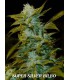 banco de semillas GENEHTIK SEEDS HAZIAK SUPER SILVER BILBO