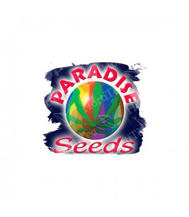 DURGA MATA II CBD 100% PARADISE