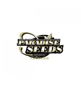 banco de semillas PARADISE INDICA PACK 6 100% (SENSISTAR/ICECR/WHITEBERR) PARADISE