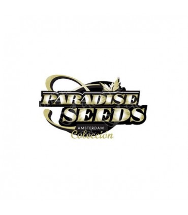 banco de semillas PARADISE INDICA PACK 6 100% (SENSISTAR/ICECR/WHITEBERR) PARADISE