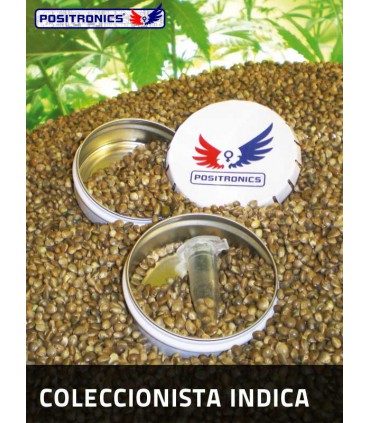 banco de semillas POSITRONICS COLECCION 1 INDICA (6) 100% POSITRONICS