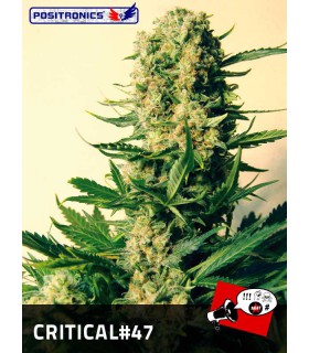 banco de semillas POSITRONICS CRITICAL 47