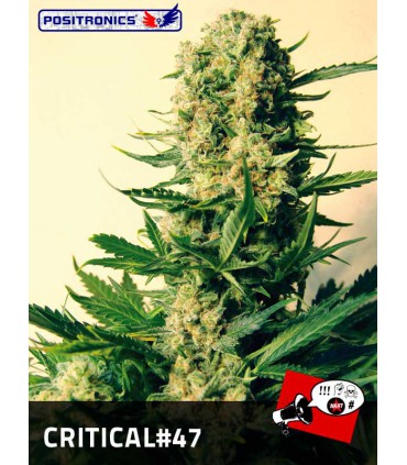 banco de semillas POSITRONICS CRITICAL 47
