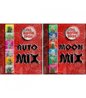 banco de semillas THE MOON SEEDS AUTO MIX THE MOON SEEDS