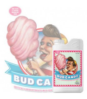 BUD CANDY