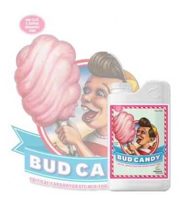 BUD CANDY