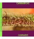 Iluminacion. EXTRACCIONES CANNABICAS (ESPAÑOL)