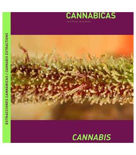 Iluminacion. EXTRACCIONES CANNABICAS (ESPAÑOL)