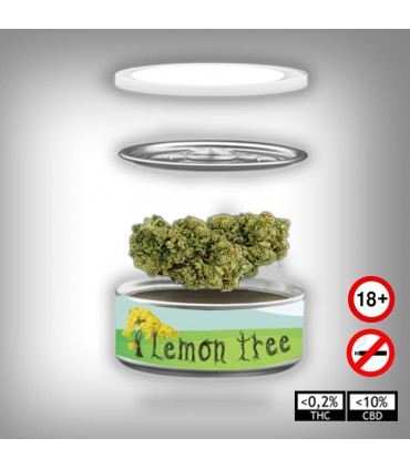 LEMON TREE