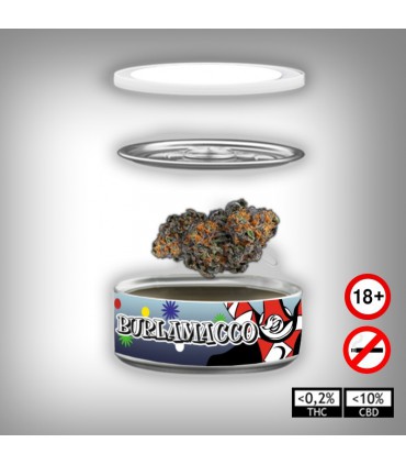 Burlamacco 3.5gr