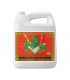 Bud Ignitor 10l